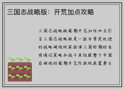 三国志战略版：开荒加点攻略